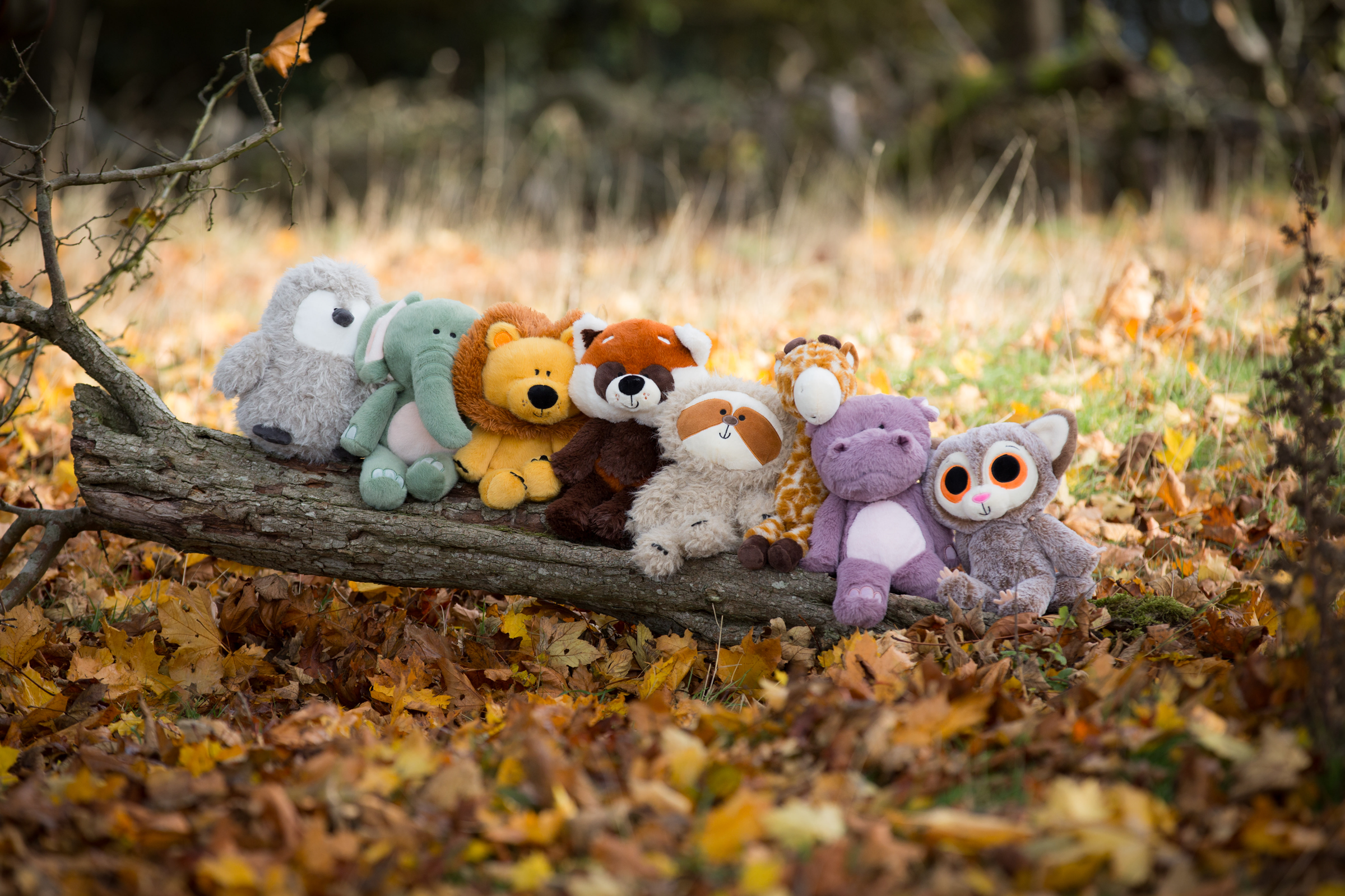 A range of MBI and ZSL plush toys sitting on a log. Penguin, elephant, lion, red panda, sloth, giraffe, hippo and bush baby.