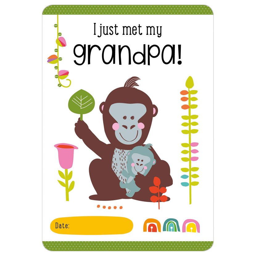 Petite Boutique Moments to Treasure Baby Record Cards
