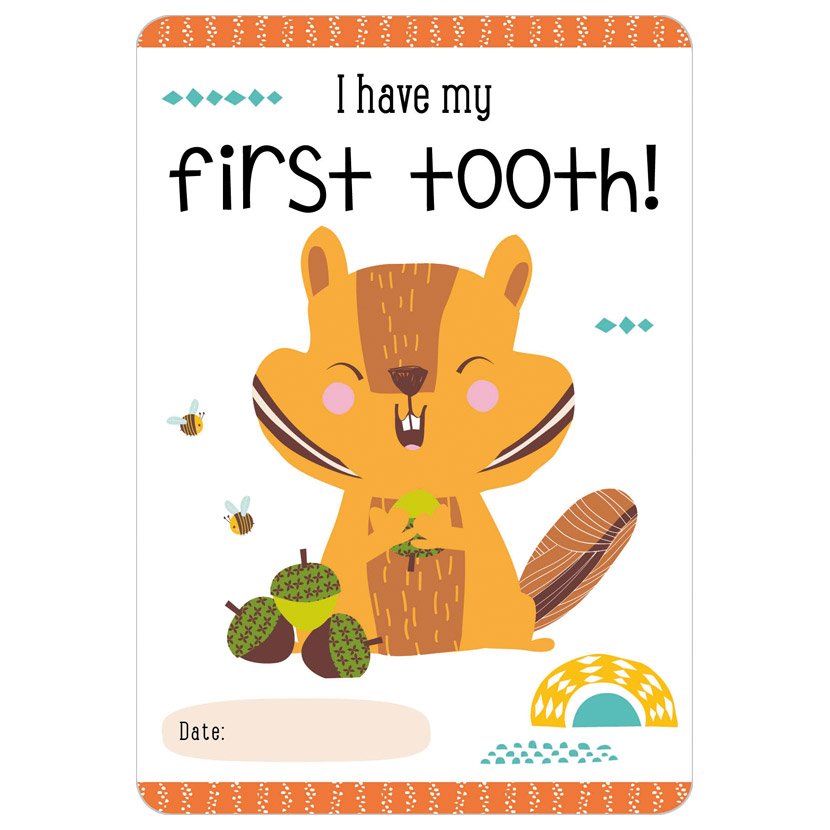 Petite Boutique Moments to Treasure Baby Record Cards