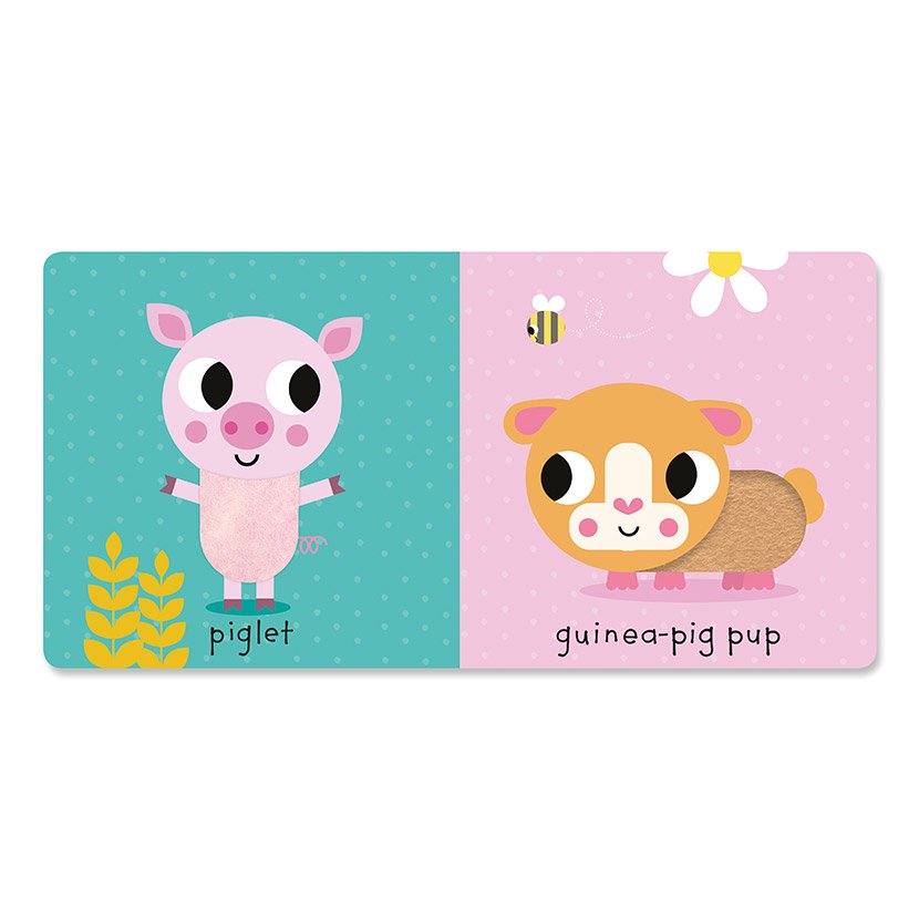 Touch and Explore Baby Animals
