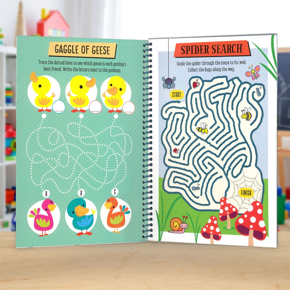 Wipe Clean: Mega Mazes