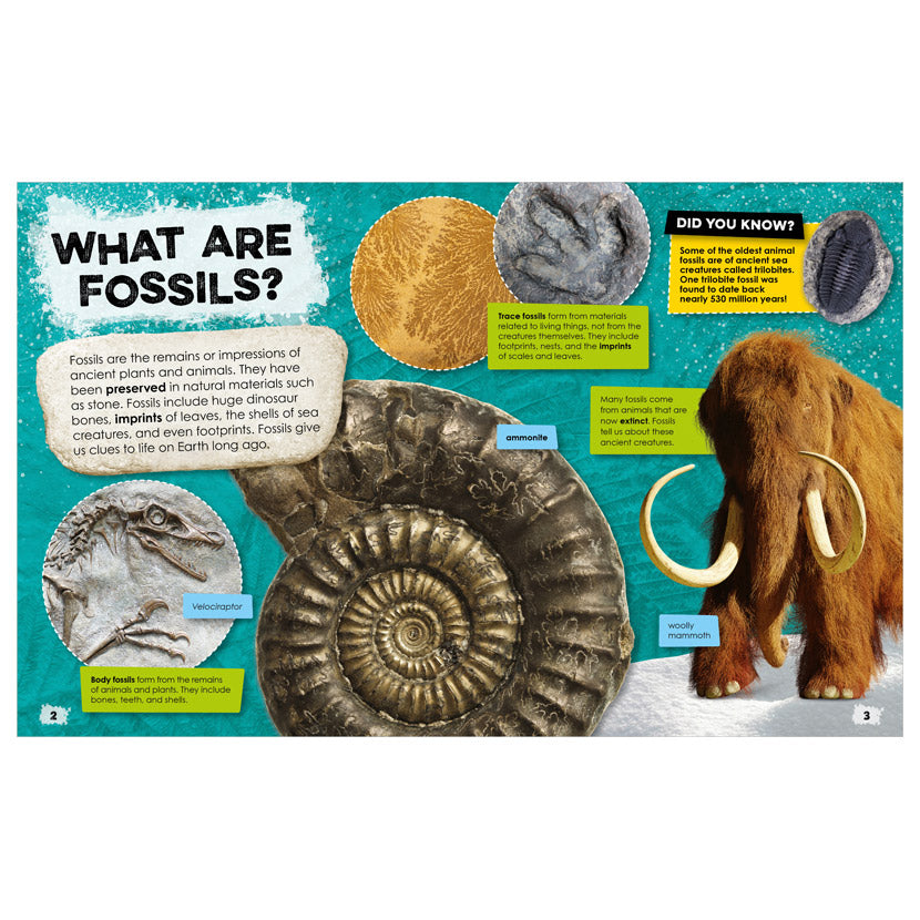 Fantastic Fossils