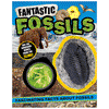 Cover of Fantastic Fossils (9781803378398)