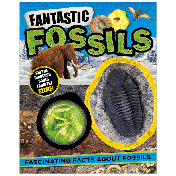 Cover of Fantastic Fossils (9781803378398)