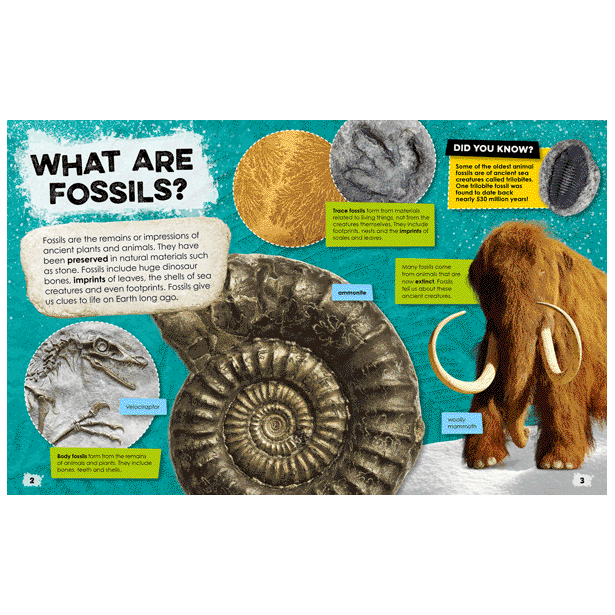 Second spread of Fantastic Fossils (9781803378398)