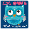 Little Owl What Can You See?