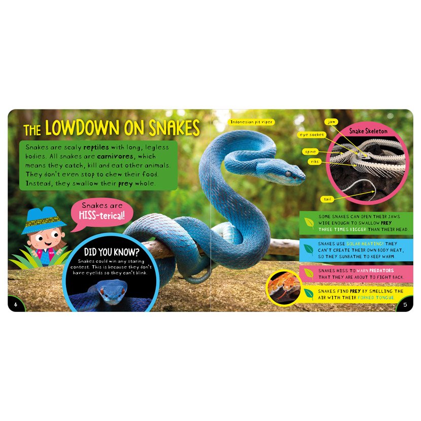 Amazing Snakes