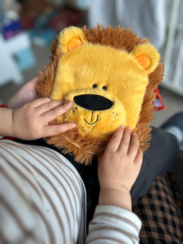 Hand-Puppet Cloth Book Lion