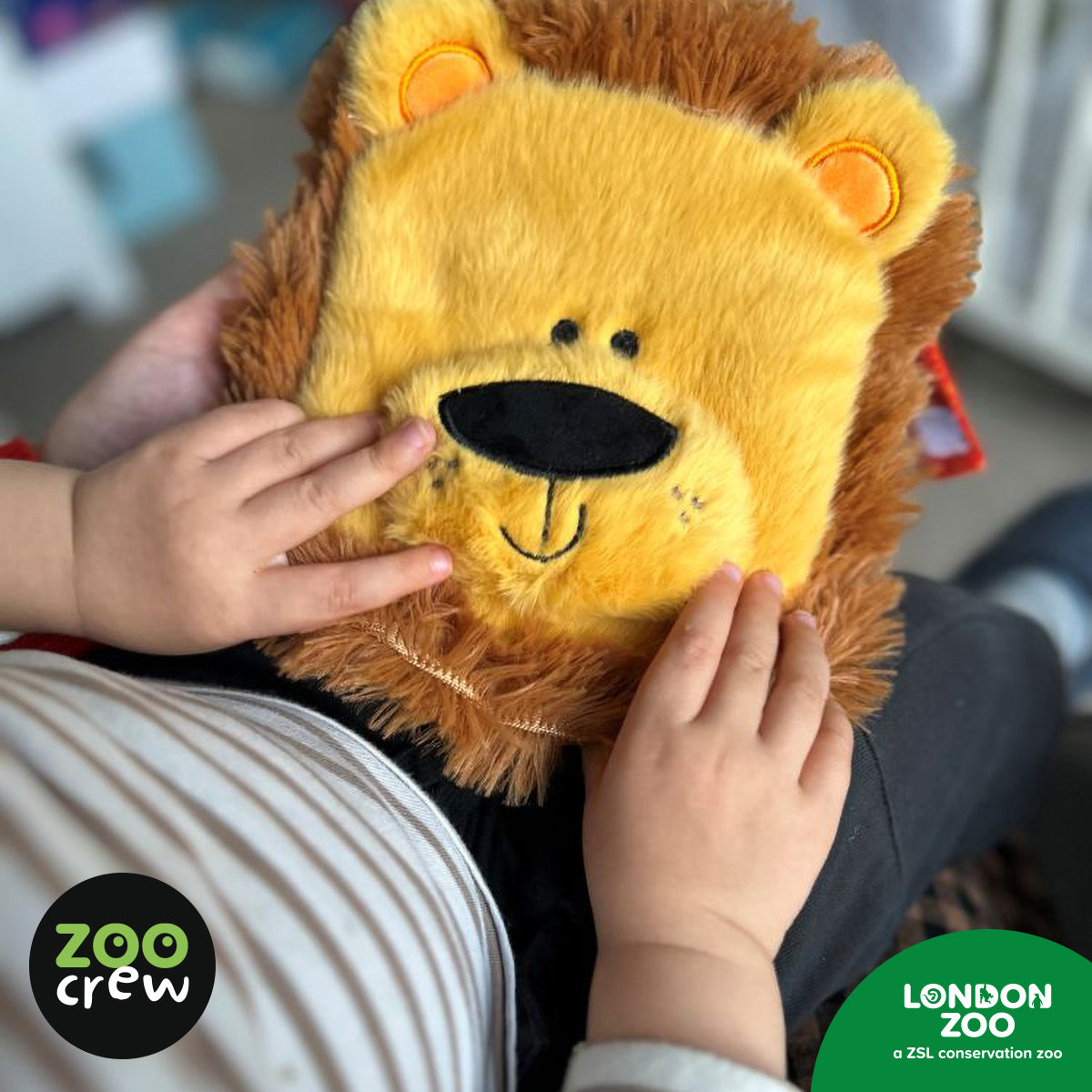 Hand-Puppet Cloth Book Lion 6 (9781836427155) by Make Believe Ideas